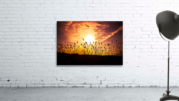 DP2L1752 Edit Wall Preview
