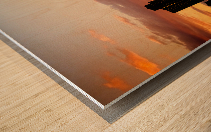 20130420  KM 0440 Wood print