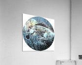 andalusian Acrylic Print