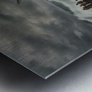 Braving the Tempest  Metal print