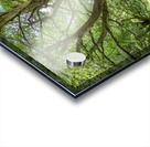 Majestic Tree Acrylic print