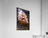 All that remains Acrylic Print