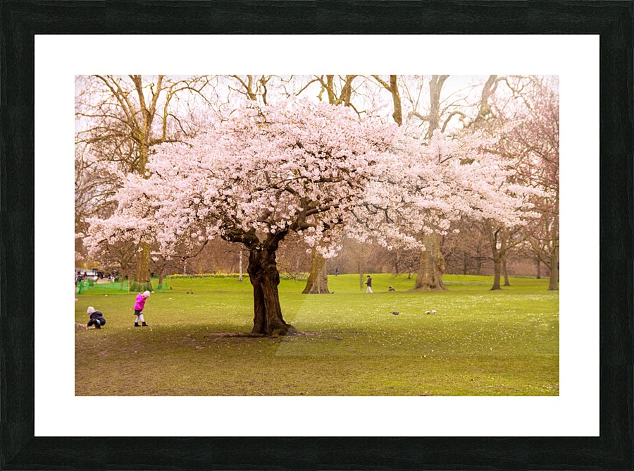 Blossom Tree Picture Frame print