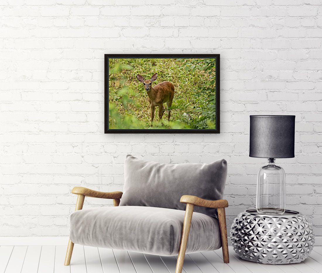 Oh Deer Reproduction