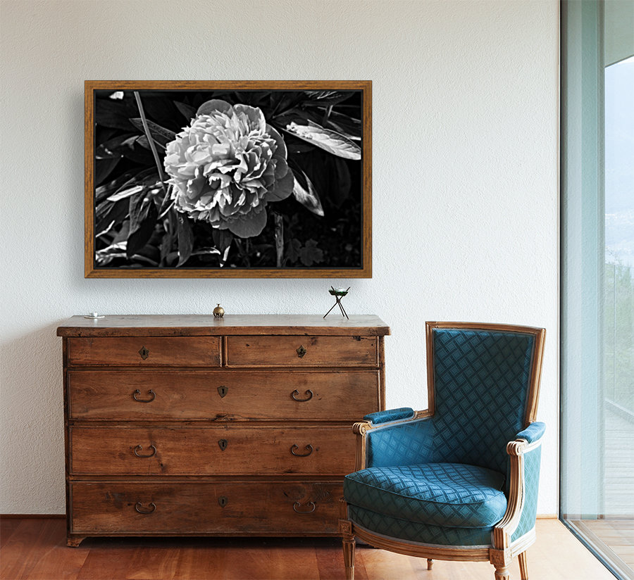 BW Flower Reproduction