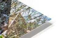 Tombstone HD Metal print