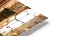 Coventry Bee HD Metal print