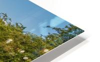 River Path HD Metal print