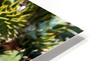 Plant Image HD Metal print