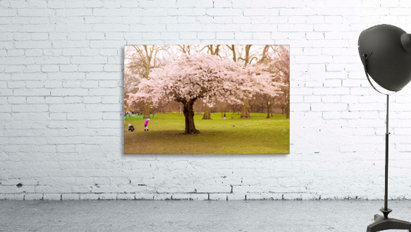 Blossom Tree Wall Preview