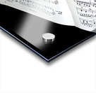 Music Lover Acrylic print