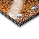 Pebbles On The Beach Acrylic print