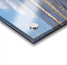 Call of the Ocean - Murex Seashell Acrylic print