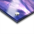 Passionate Nights Acrylic print