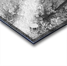 Autumn Days in Mono Acrylic print