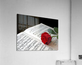 Music Lover Acrylic Print