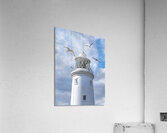 Fly Past - Seagulls Round Southwold Lighthouse Acrylic Print