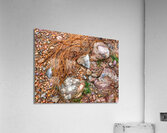 Pebbles On The Beach Acrylic Print