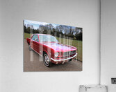 Stunning 1966 Metallic Red Mustang Acrylic Print