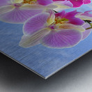 Colorful Purple Pink Orchid Spa Metal print