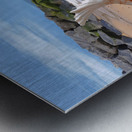 Summer Tide - Murex Seashell Metal print