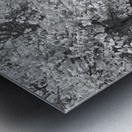 Autumn Days in Mono Metal print