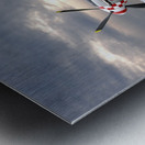 Well Earned Rest p-51 Metal print