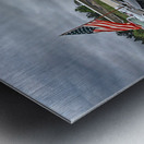 Three Generations  Metal print