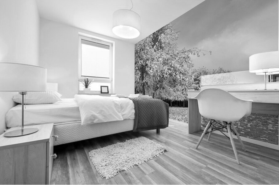 Autumn Days in Mono Mural print