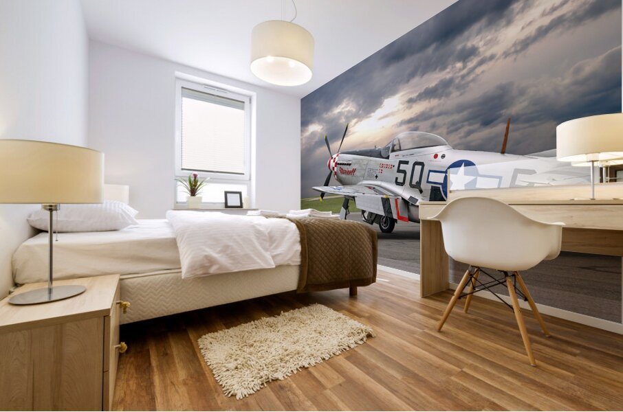 Well Earned Rest p-51 Mural print