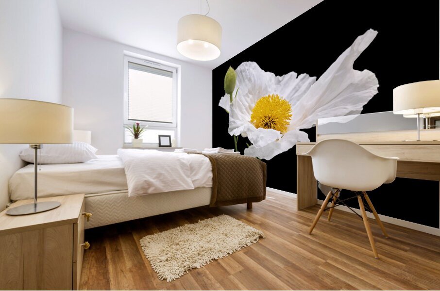 Matilija Poppy on Black Mural print
