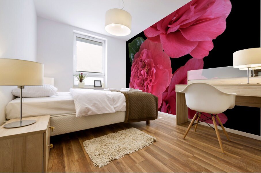 Pink Camelia on Black Vertical Mural print