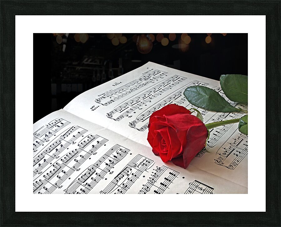 Music Lover Picture Frame print