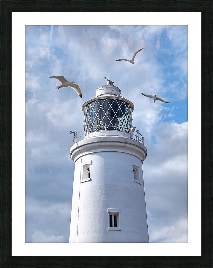 Fly Past - Seagulls Round Southwold Lighthouse Picture Frame print