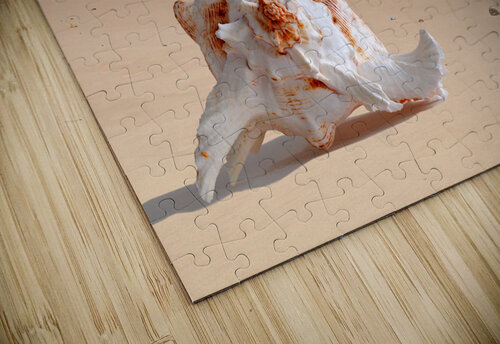 Summer Tide - Murex Seashell Gill Billington puzzle