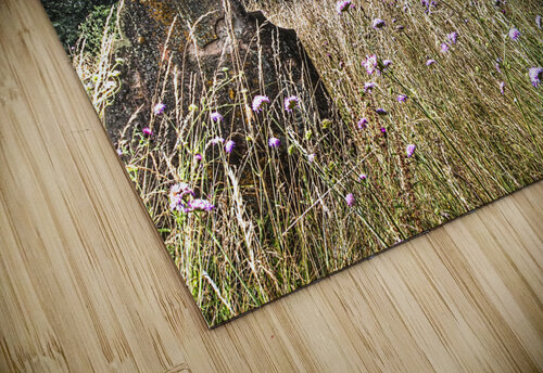 Abandoned Grave In The Churchyard Gill Billington puzzle