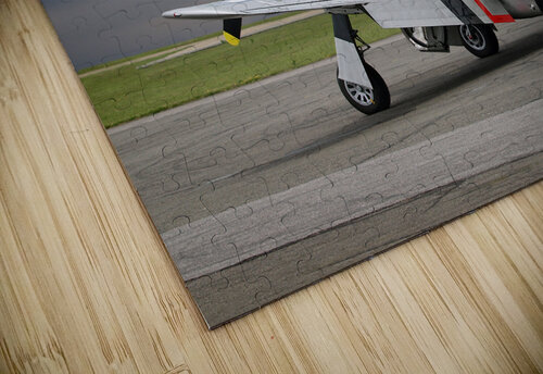 Well Earned Rest p-51 Gill Billington puzzle