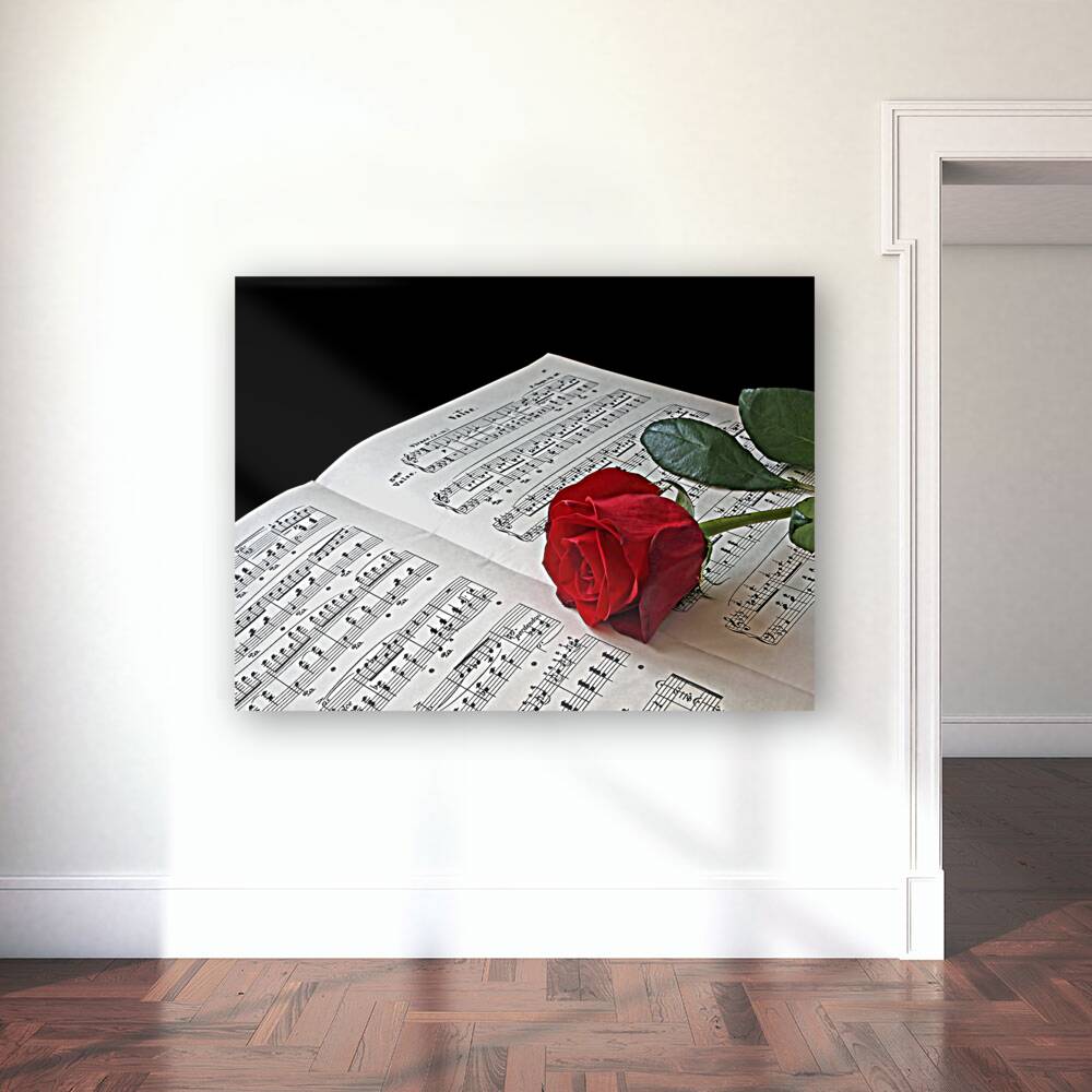 Music Lover Reproduction