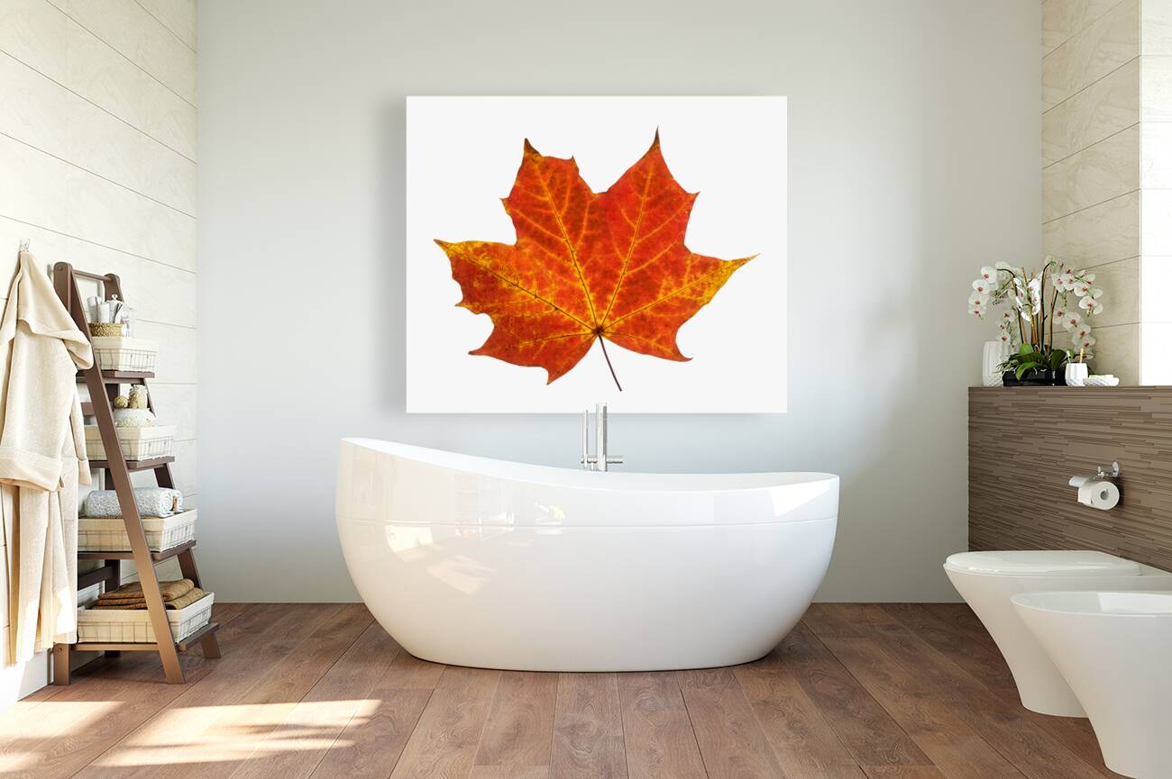 Autumn Leaf 3 Reproduction