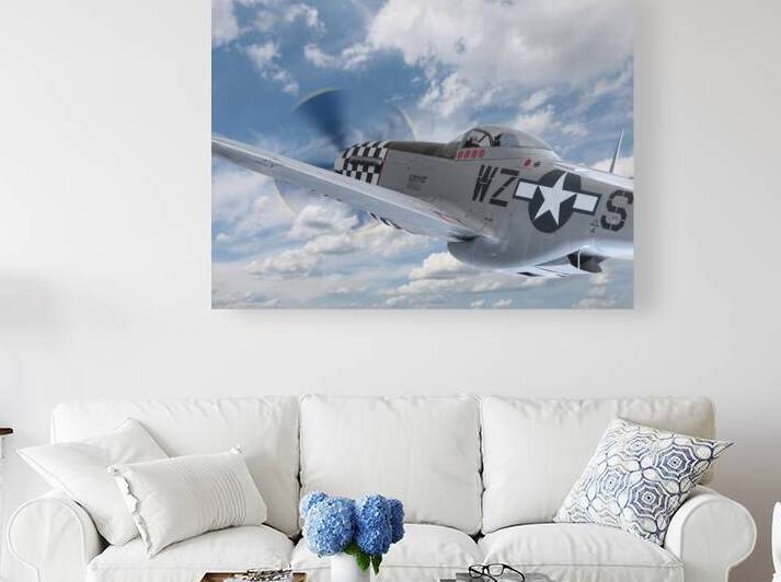 p51 In The Clouds by Gill Billington