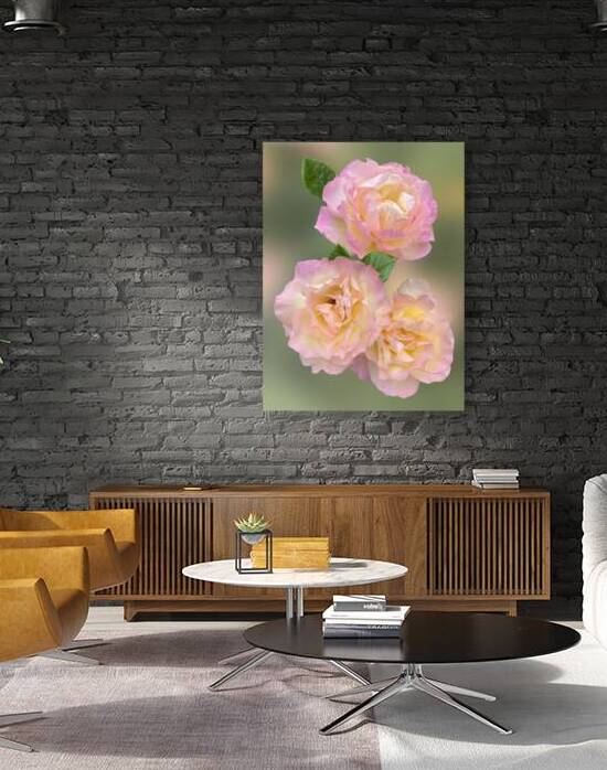 Showy Pink Roses Vertical by Gill Billington