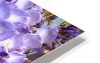 Purple Wisteria Flowers HD Metal print
