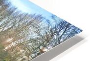River Reflections HD Metal print
