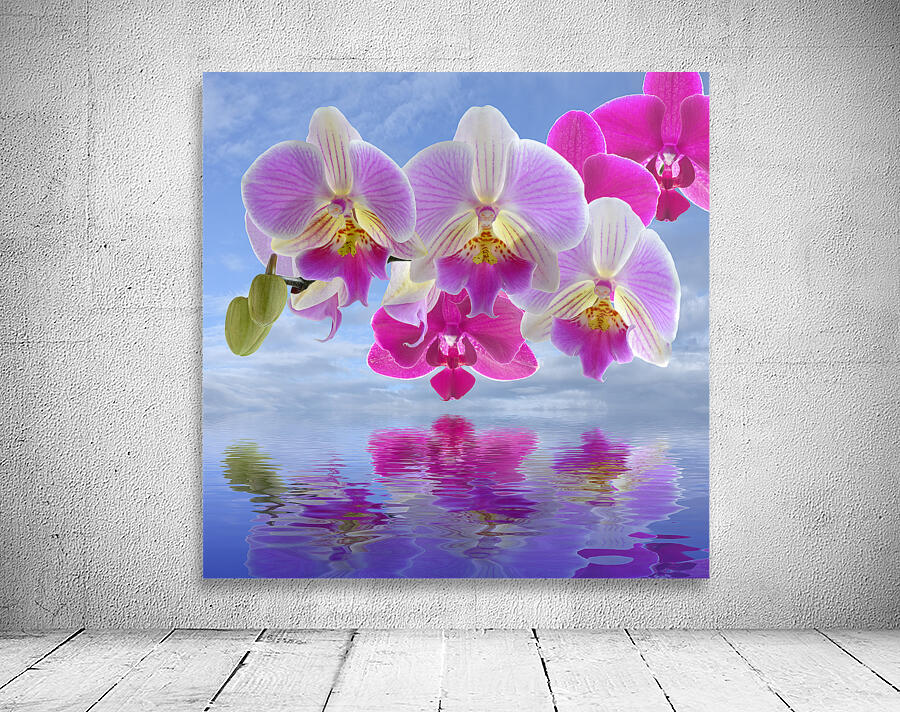 Colorful Purple Pink Orchid Spa Wall Preview