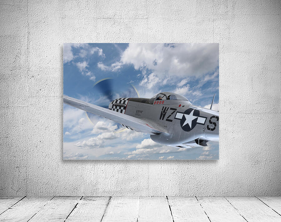 p51 In The Clouds Wall Preview