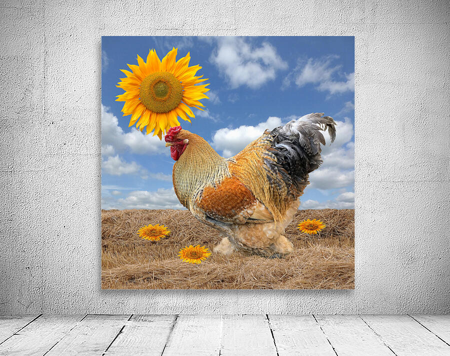 Good Morning Sunshine Rooster With Sunflower Wall Preview