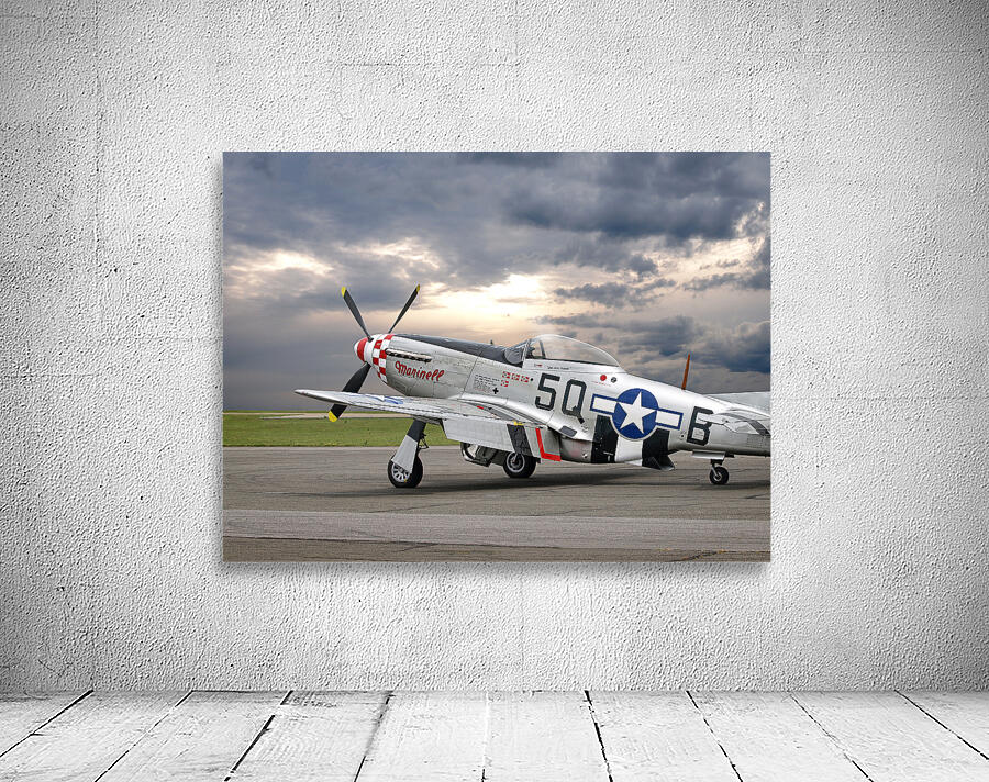 Well Earned Rest p-51 Wall Preview