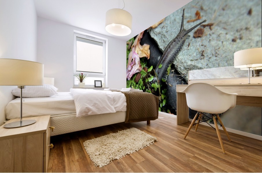 Snail Travels 2 Mural print