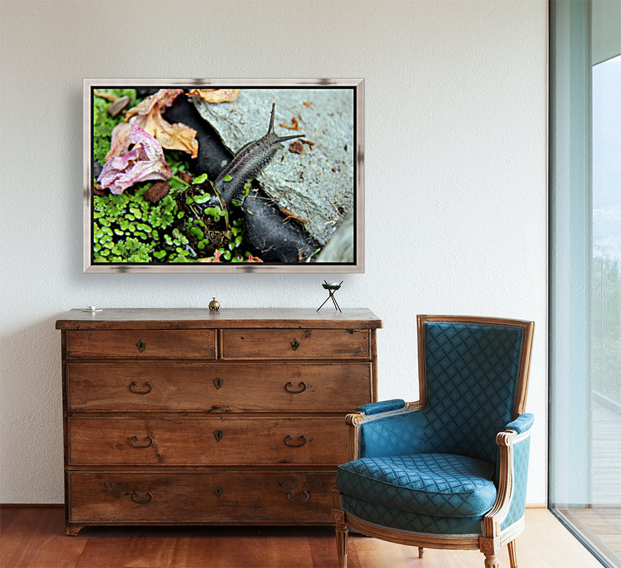 Snail Travels 2 Reproduction
