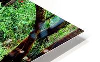 Nature Walk HD Metal print